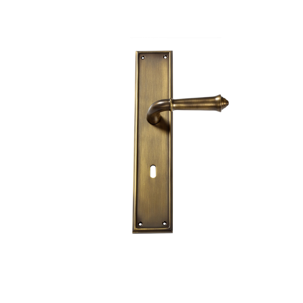 Louvre Door Handle by Backplate Brass Oxide