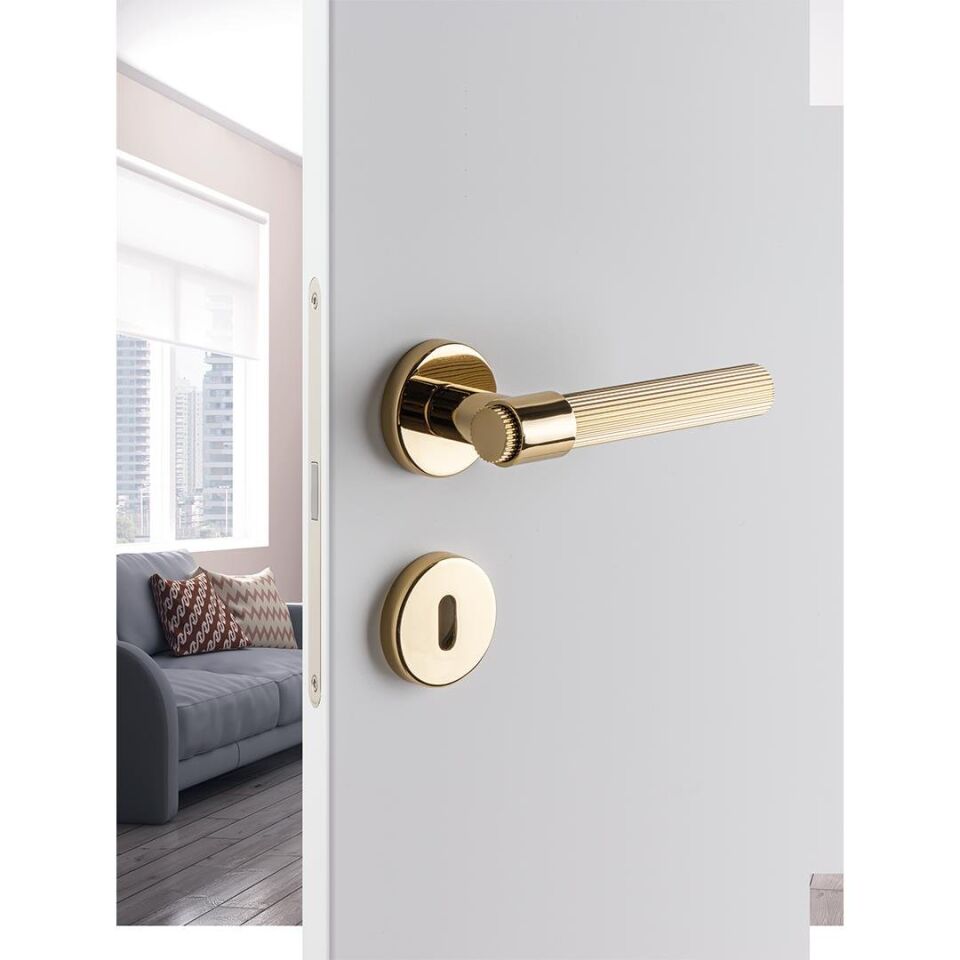 System AXEL-L Rozetli Kapı Kolu Gold Renk (HA212RO12 GL) Oda