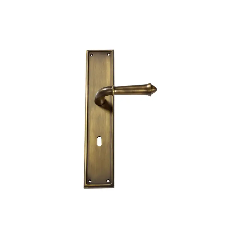 Vista D’oro Louvre Serisi Aynalı Kapı Kolu Sarı Oksit